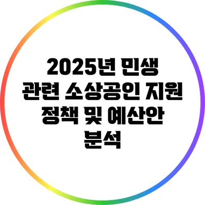 2025년 민생 관련 소상공인 지원 정책 및 예산안 분석
