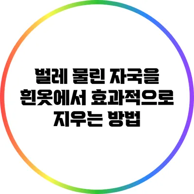 벌레 물린 자국을 흰옷에서 효과적으로 지우는 방법
