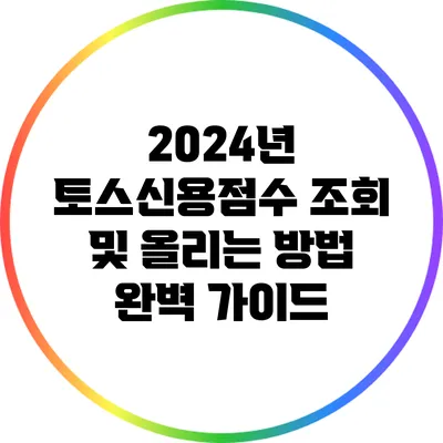 2024년 토스신용점수 조회 및 올리는 방법 완벽 가이드