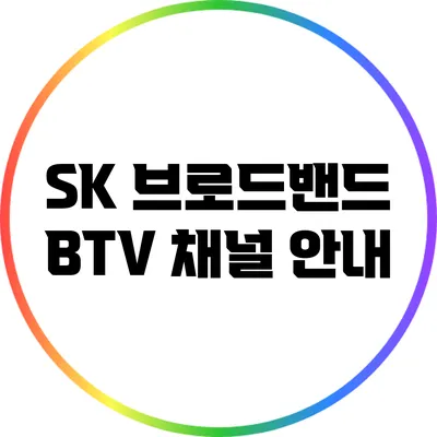 SK 브로드밴드 BTV 채널 안내
