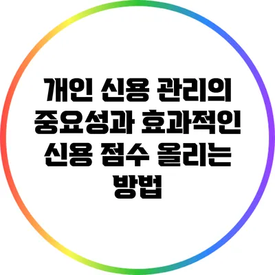 개인 신용 관리의 중요성과 효과적인 신용 점수 올리는 방법
