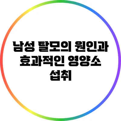 남성 탈모의 원인과 효과적인 영양소 섭취