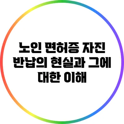 노인 면허증 자진 반납의 현실과 그에 대한 이해