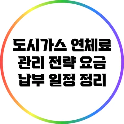 도시가스 연체료 관리 전략: 요금 납부 일정 정리