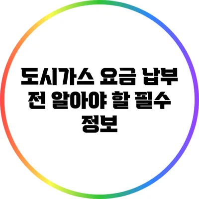도시가스 요금 납부 전 알아야 할 필수 정보
