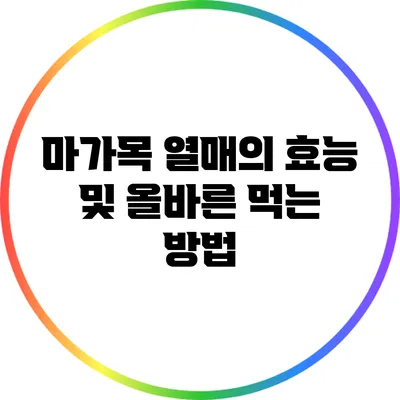 마가목 열매의 효능 및 올바른 먹는 방법
