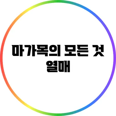 마가목의 모든 것: 열매