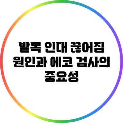 발목 인대 끊어짐: 원인과 에코 검사의 중요성