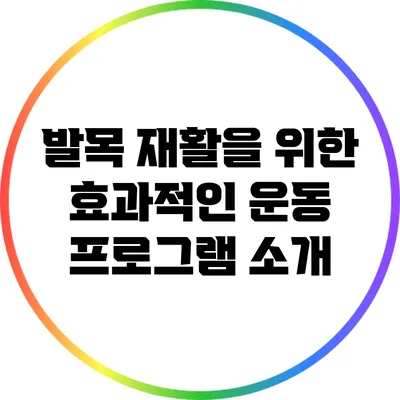 발목 재활을 위한 효과적인 운동 프로그램 소개
