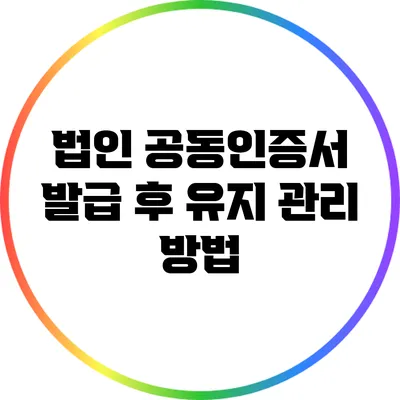 법인 공동인증서 발급 후 유지 관리 방법