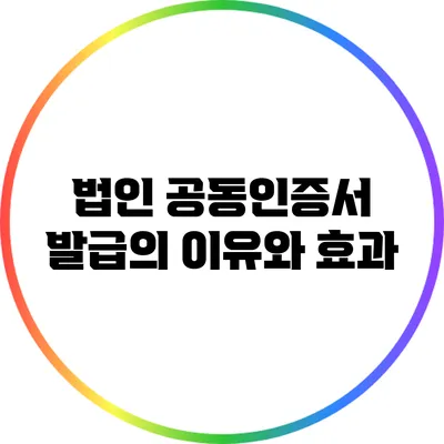 법인 공동인증서 발급의 이유와 효과