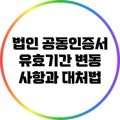 법인 공동인증서 유효기간: 변동 사항과 대처법
