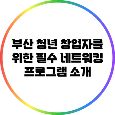 부산 청년 창업자를 위한 필수 네트워킹 프로그램 소개