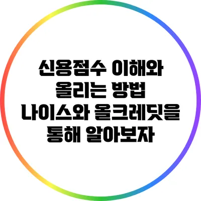 신용점수 이해와 올리는 방법: 나이스와 올크레딧을 통해 알아보자