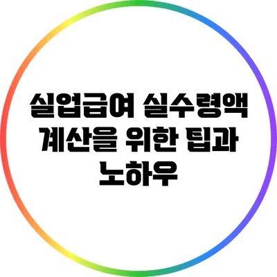 실업급여 실수령액 계산을 위한 팁과 노하우
