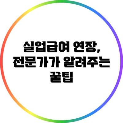 실업급여 연장, 전문가가 알려주는 꿀팁