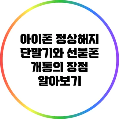 아이폰 정상해지 단말기와 선불폰 개통의 장점 알아보기
