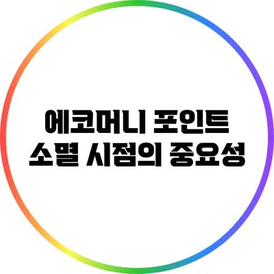 에코머니 포인트 소멸 시점의 중요성