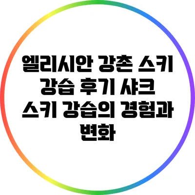 엘리시안 강촌 스키 강습 후기: 샤크 스키 강습의 경험과 변화