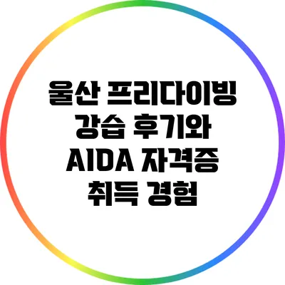 울산 프리다이빙 강습 후기와 AIDA 자격증 취득 경험