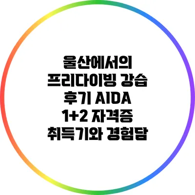 울산에서의 프리다이빙 강습 후기: AIDA 1+2 자격증 취득기와 경험담