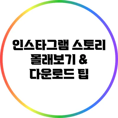 인스타그램 스토리 몰래보기 & 다운로드 팁