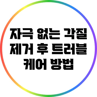 자극 없는 각질 제거 후 트러블 케어 방법