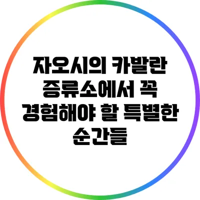 자오시의 카발란 증류소에서 꼭 경험해야 할 특별한 순간들