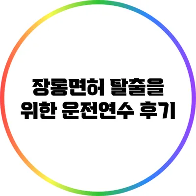 장롱면허 탈출을 위한 운전연수 후기
