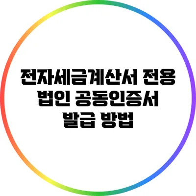 전자세금계산서 전용 법인 공동인증서 발급 방법