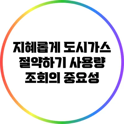 지혜롭게 도시가스 절약하기: 사용량 조회의 중요성