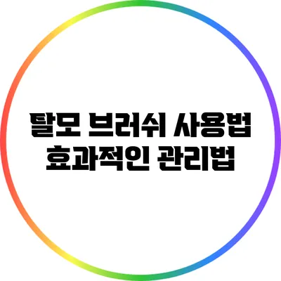 탈모 브러쉬 사용법: 효과적인 관리법