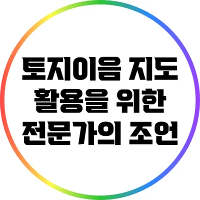 토지이음 지도 활용을 위한 전문가의 조언