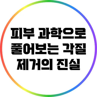 피부 과학으로 풀어보는 각질 제거의 진실