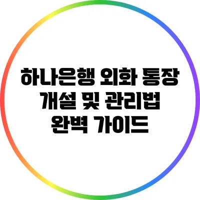 하나은행 외화 통장 개설 및 관리법 완벽 가이드