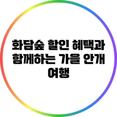 화담숲 할인 혜택과 함께하는 가을 안개 여행