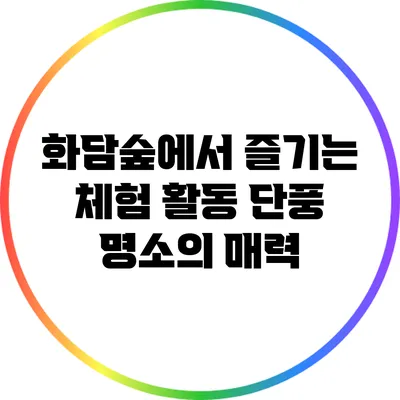 화담숲에서 즐기는 체험 활동: 단풍 명소의 매력