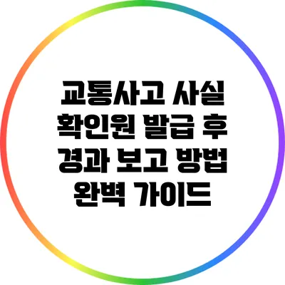 교통사고 사실 확인원 발급 후 경과 보고 방법 완벽 가이드