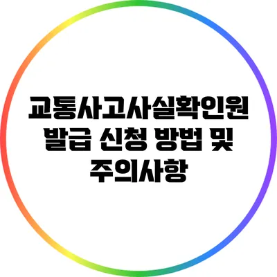 교통사고사실확인원 발급 신청 방법 및 주의사항