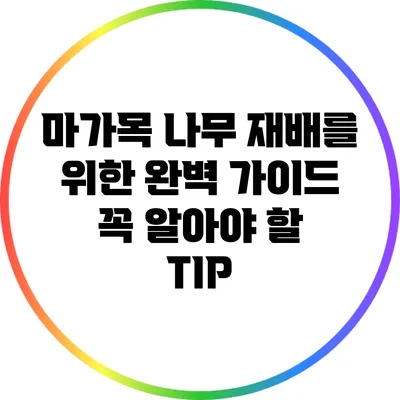 마가목 나무 재배를 위한 완벽 가이드: 꼭 알아야 할 TIP