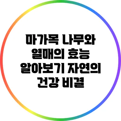 마가목 나무와 열매의 효능 알아보기: 자연의 건강 비결