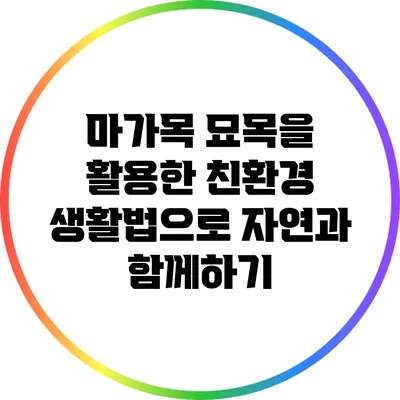 마가목 묘목을 활용한 친환경 생활법으로 자연과 함께하기