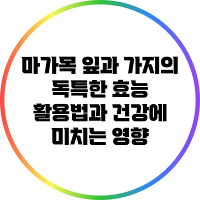 마가목 잎과 가지의 독특한 효능: 활용법과 건강에 미치는 영향