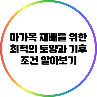 마가목 재배를 위한 최적의 토양과 기후 조건 알아보기