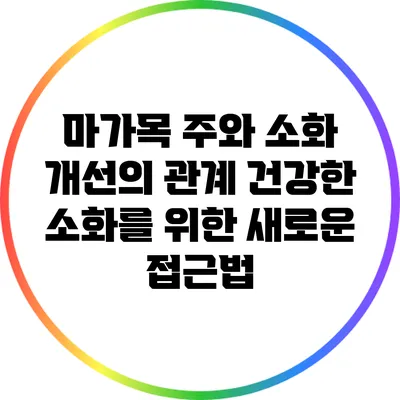 마가목 주와 소화 개선의 관계: 건강한 소화를 위한 새로운 접근법