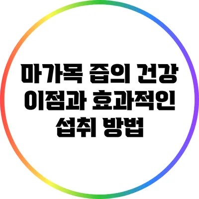 마가목 즙의 건강 이점과 효과적인 섭취 방법
