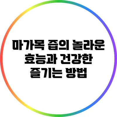 마가목 즙의 놀라운 효능과 건강한 즐기는 방법