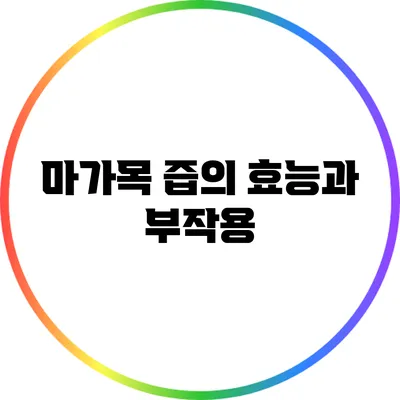 마가목 즙의 효능과 부작용