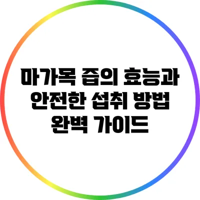 마가목 즙의 효능과 안전한 섭취 방법 완벽 가이드