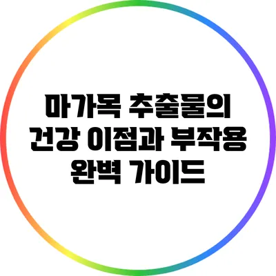 마가목 추출물의 건강 이점과 부작용 완벽 가이드